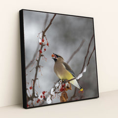 7090328338467 - Product Image