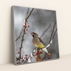 7090328338467 - Product Image