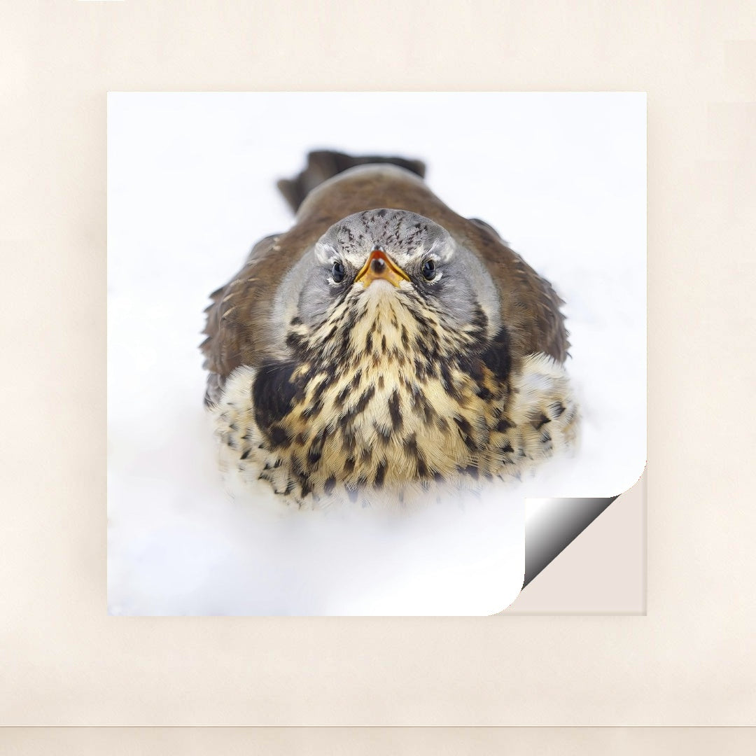 7090328436771 - Product Image