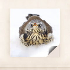 7090328436771 - Product Image