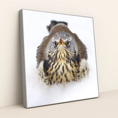 7090328436771 - Product Image