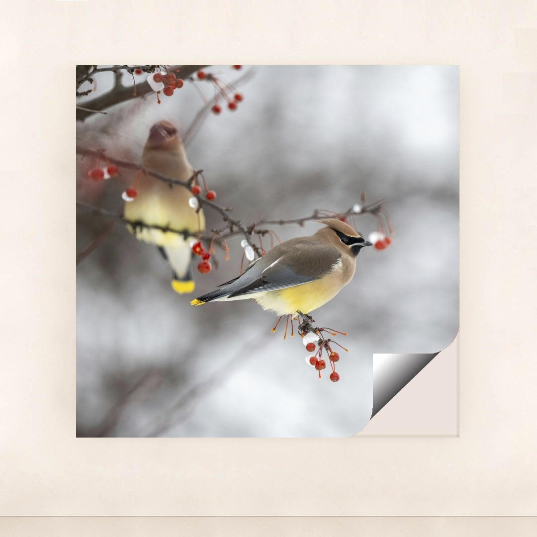 7090340429859 - Product Image