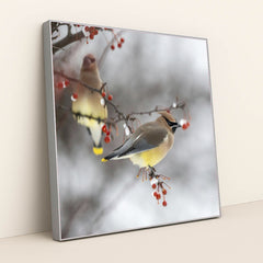 7090340429859 - Product Image