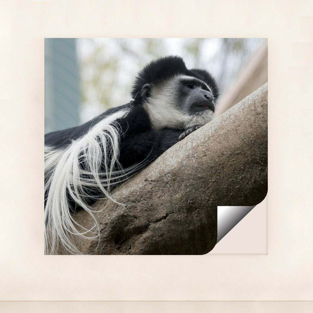 7090343673891 - Product Image