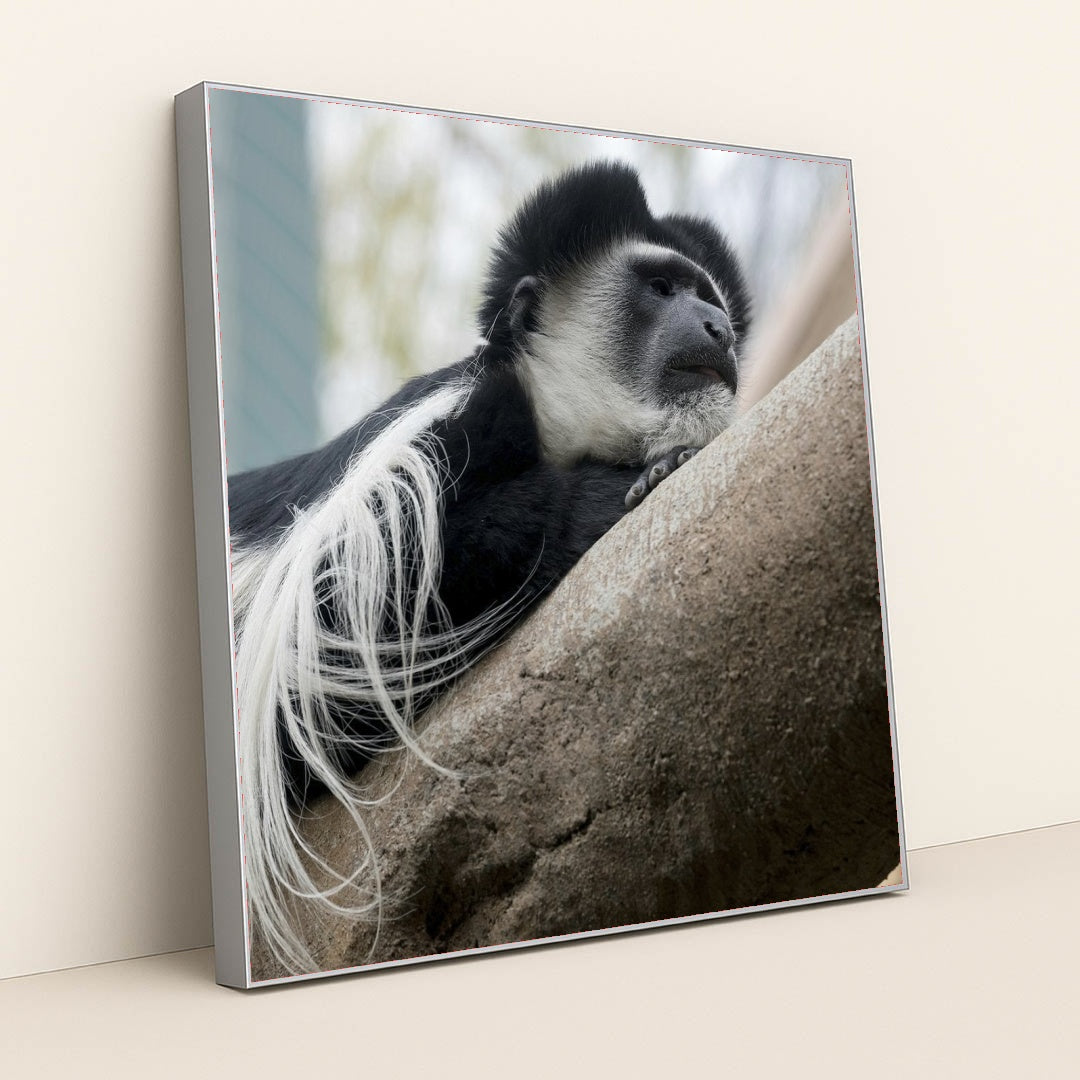 7090343673891 - Product Image