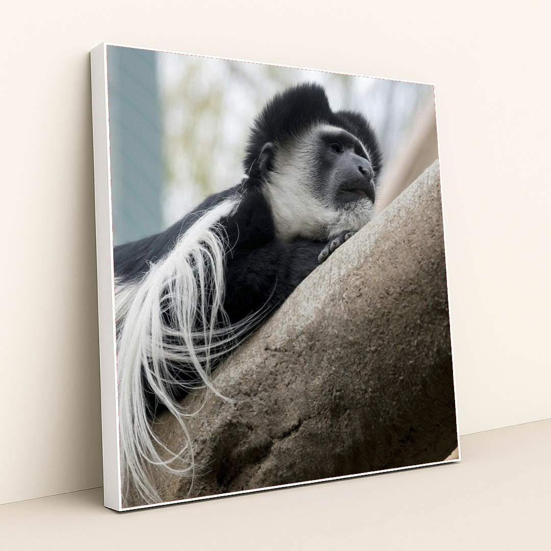 7090343673891 - Product Image