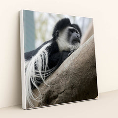 7090343673891 - Product Image