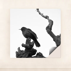 7090364776483 - Product Image