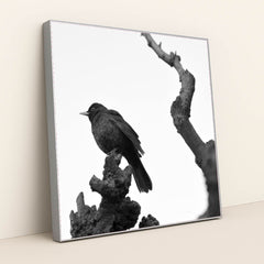 7090364776483 - Product Image