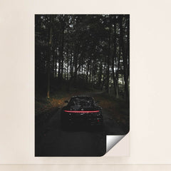 This photo shows the rear of a black Porsche with taillights illuminated, parked on a dark forest road, minimalist unframed style.
