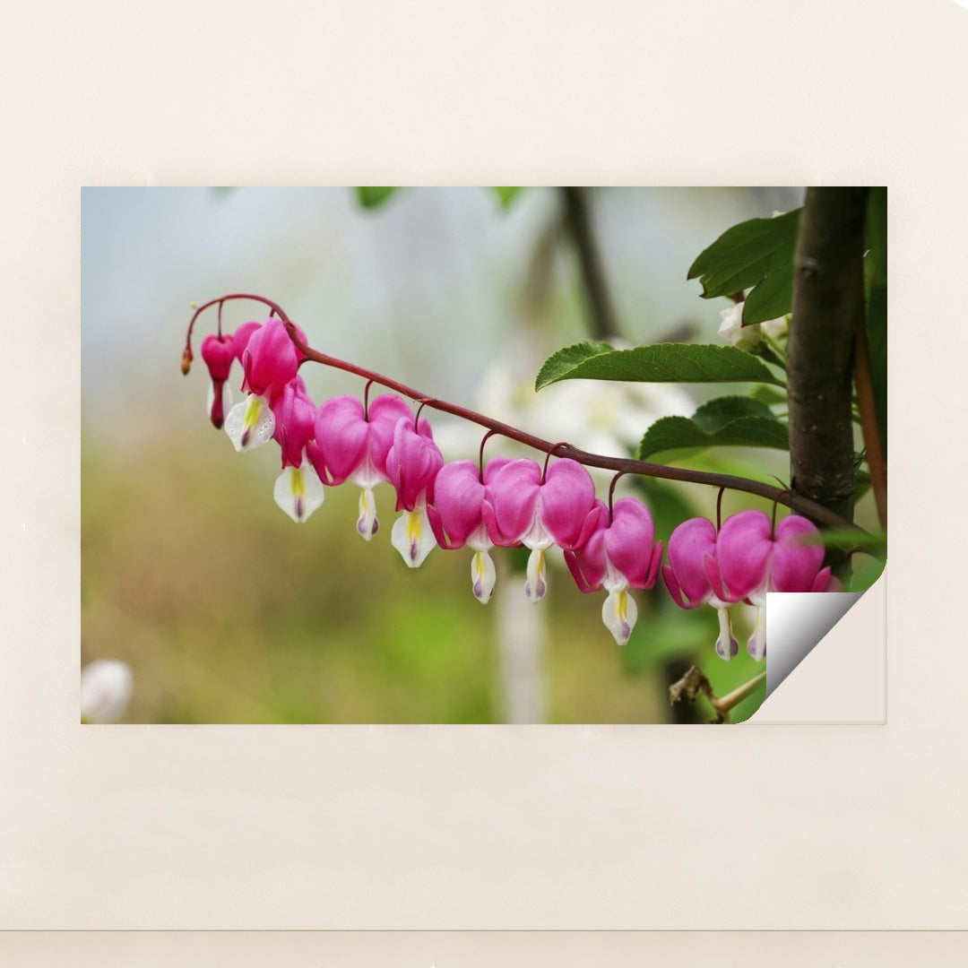 7090345607203 - Product Image