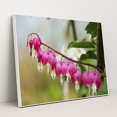 7090345607203 - Product Image