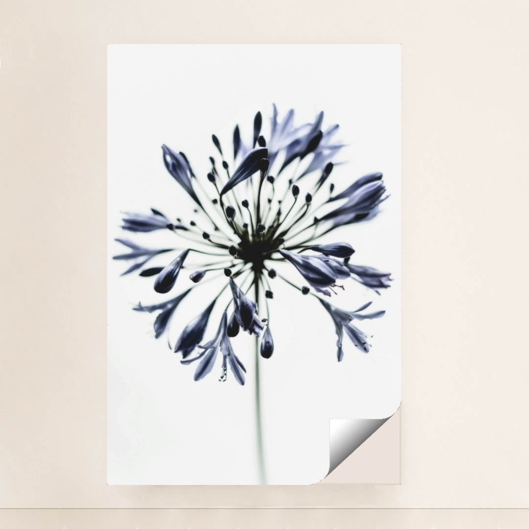 7090217287715 - Product Image