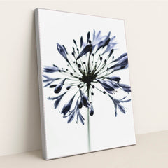 7090217287715 - Product Image