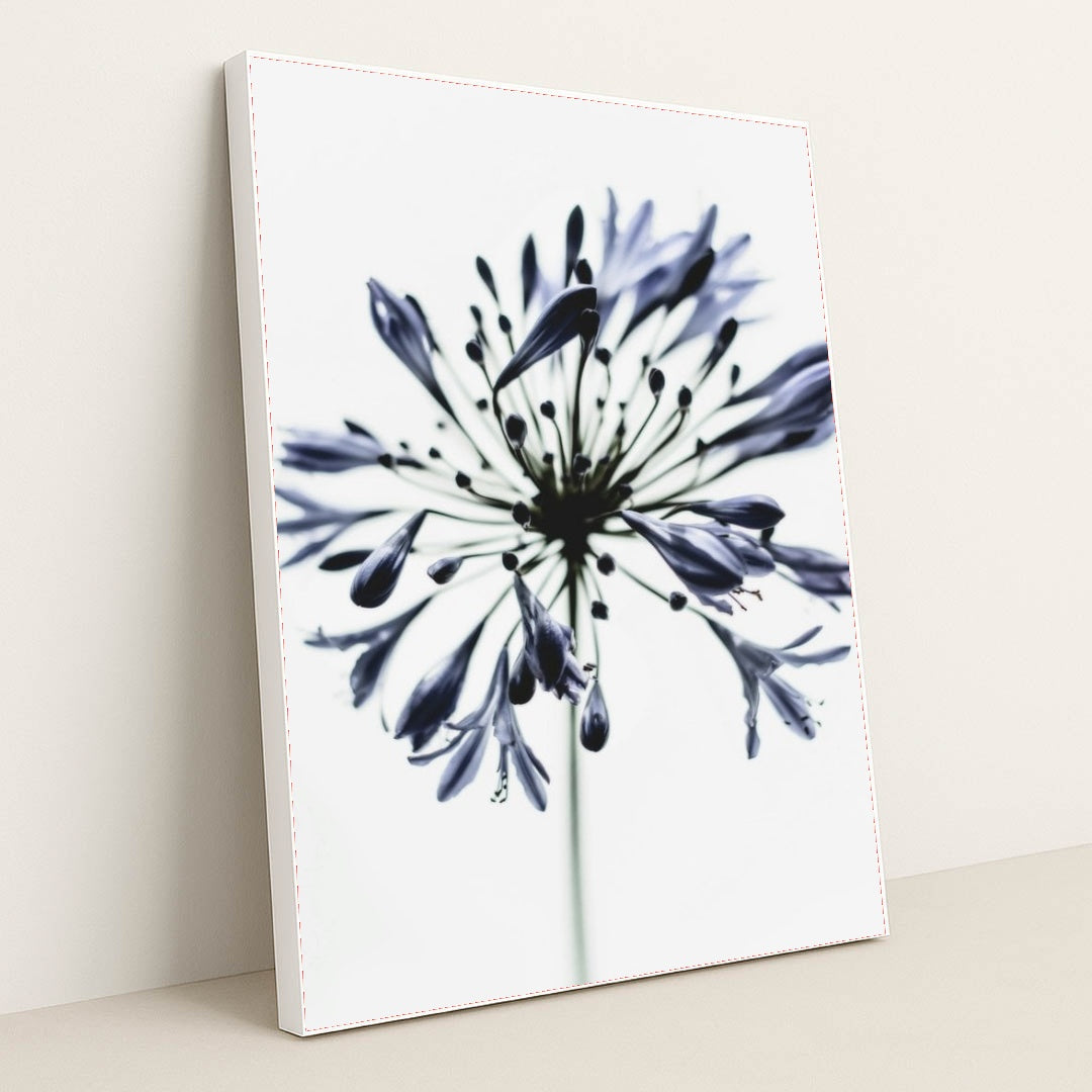 7090217287715 - Product Image