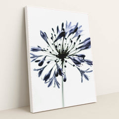 7090217287715 - Product Image