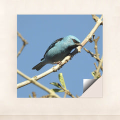 7090334236707 - Product Image