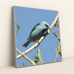 7090334236707 - Product Image