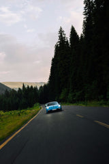 Porsche 911 Tree Run driving along a winding road surrounded by lush green pines, emphasizing car wall art.
