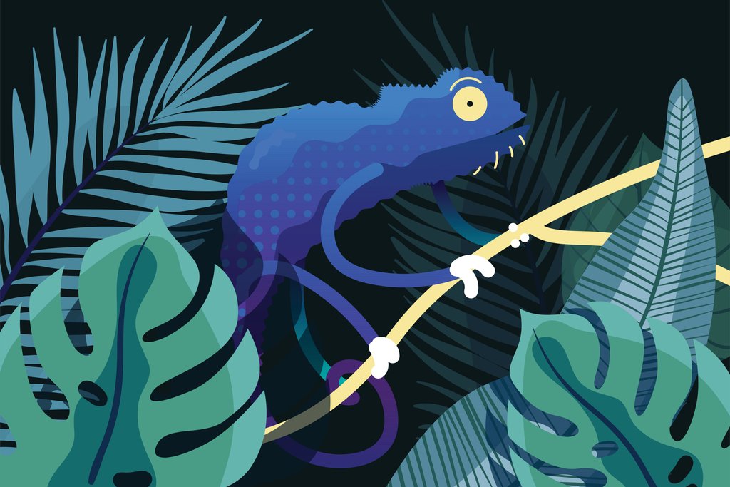 Ayush Kumar - A blue lizard on a branch in the jungle