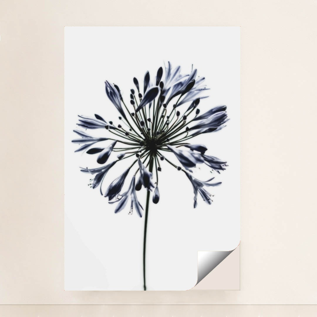 7090288263203 - Product Image