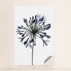 7090288263203 - Product Image