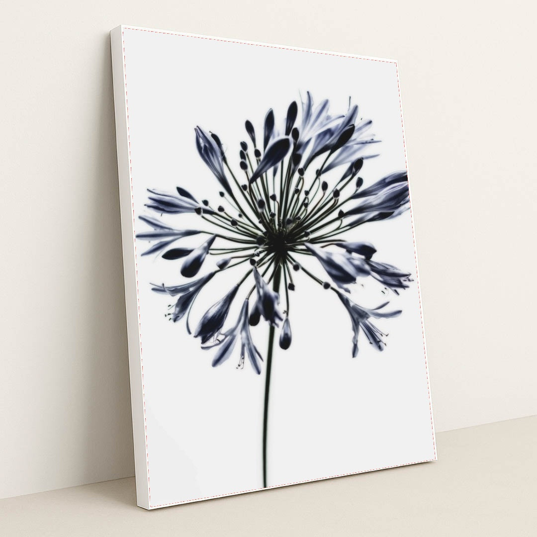 7090288263203 - Product Image