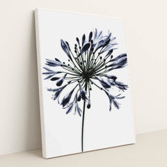 7090288263203 - Product Image