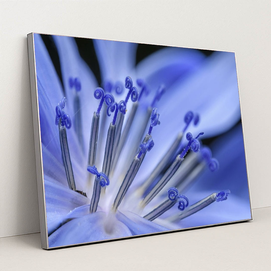 7090292162595 - Product Image