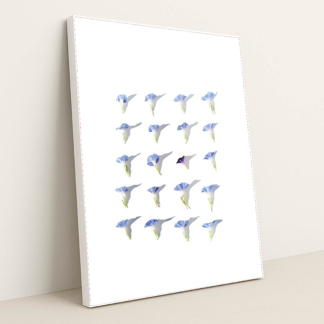 7090292523043 - Product Image