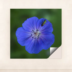 7090292064291 - Product Image