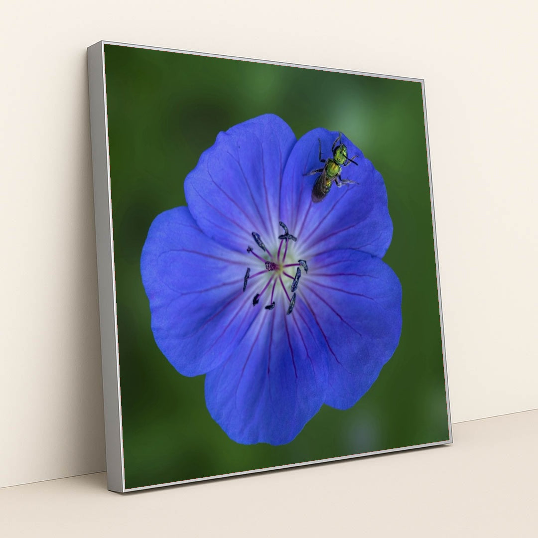 7090292064291 - Product Image