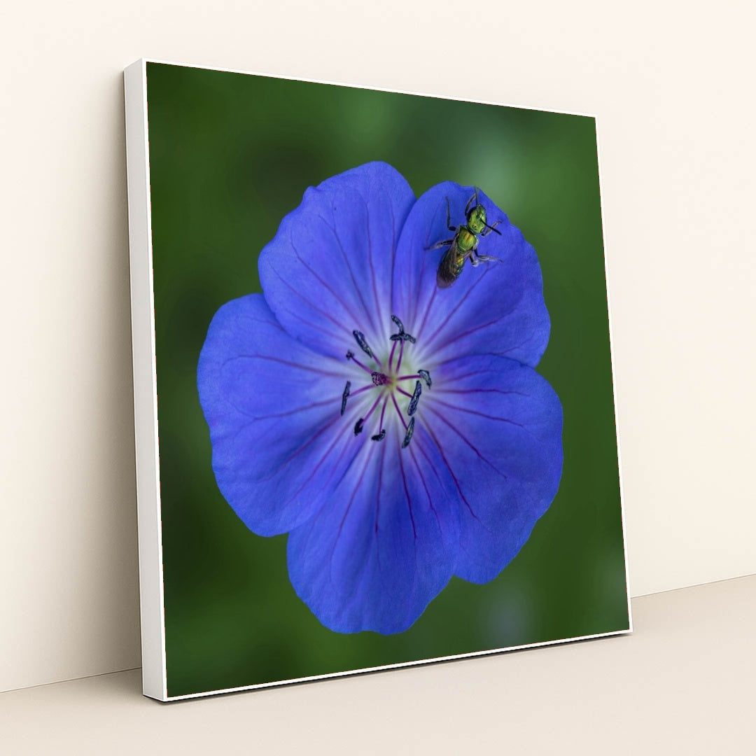 7090292064291 - Product Image