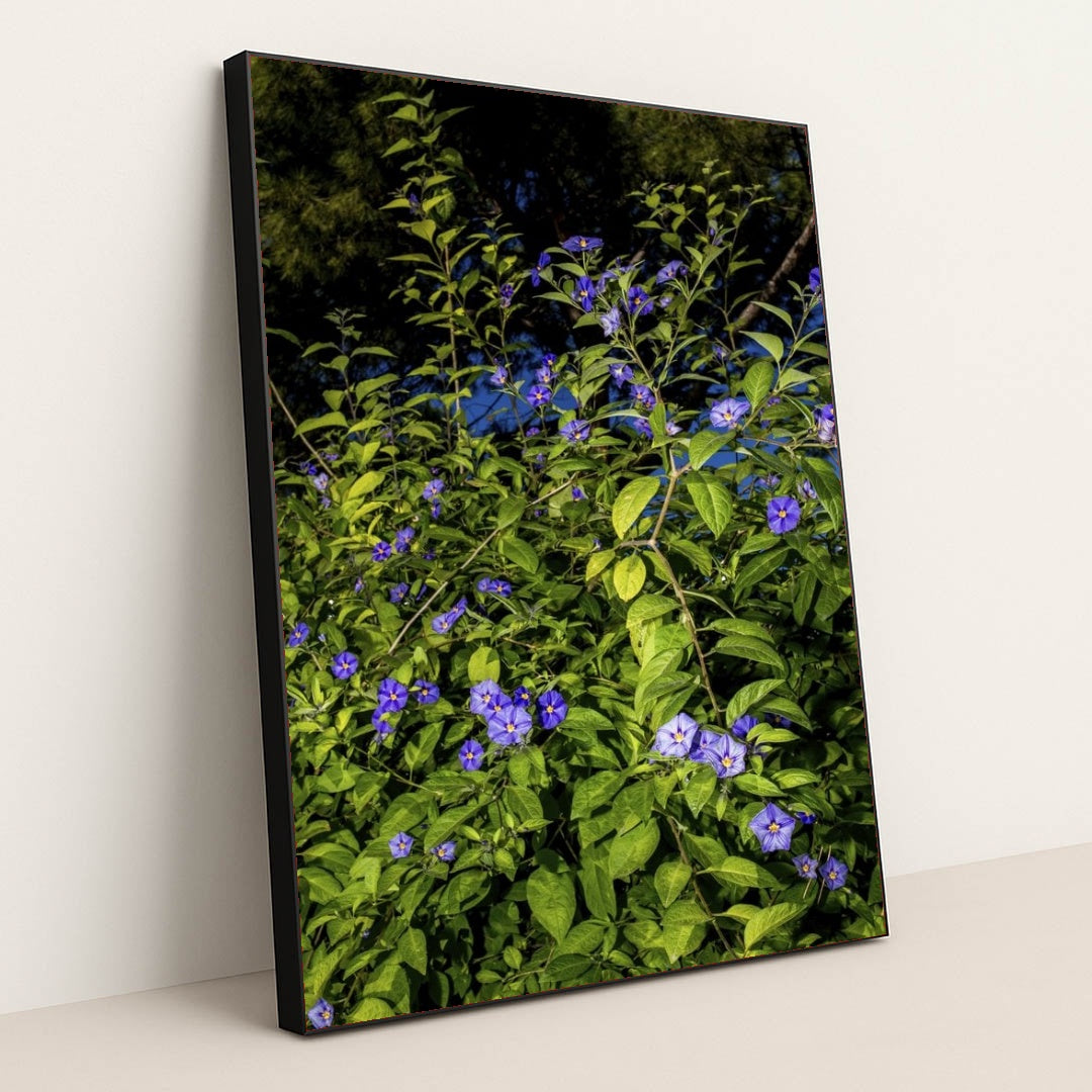 7090341085219 - Product Image