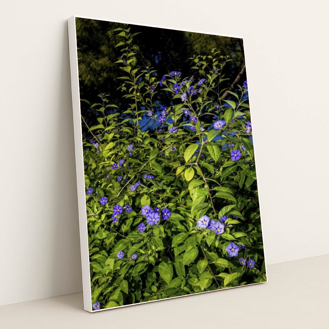 7090341085219 - Product Image