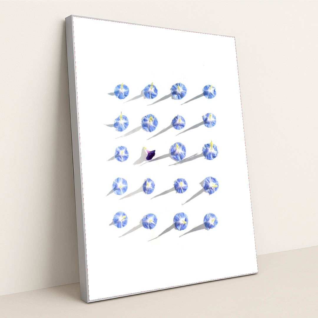 7090296750115 - Product Image