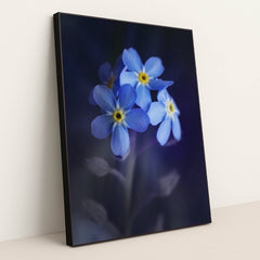 7090346459171 - Product Image