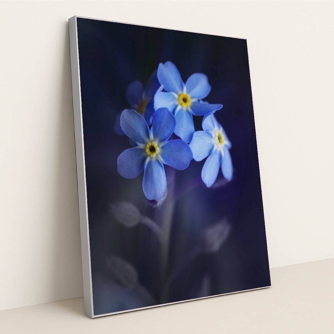 7090346459171 - Product Image