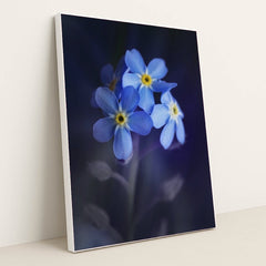 7090346459171 - Product Image