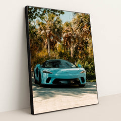 This photo shows a blue McLaren sports car parked in a sunny tropical garden with palm trees, in a black frame.