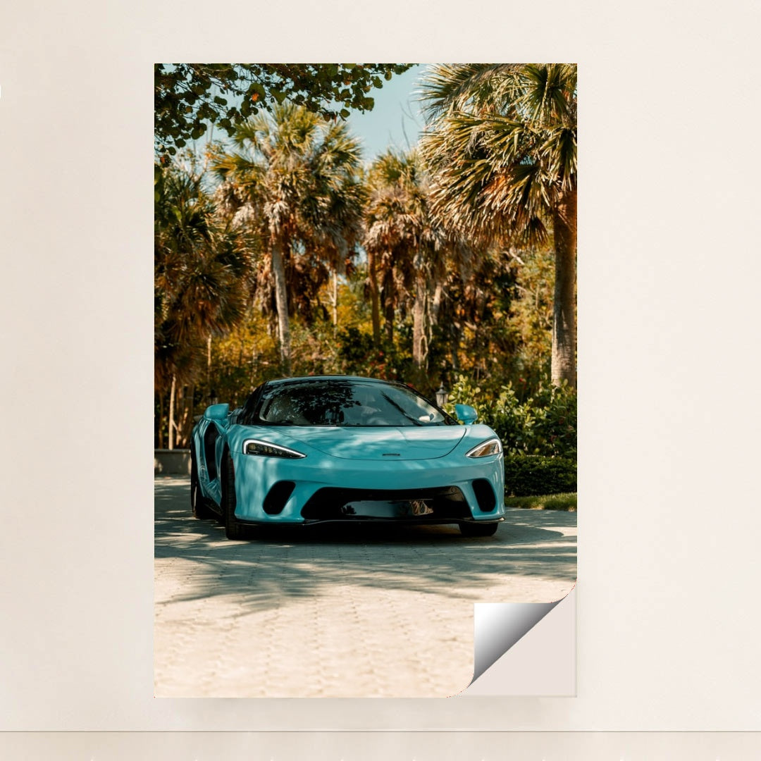 This photo shows a blue McLaren sports car parked in a sunny tropical garden with palm trees, minimalist unframed style.