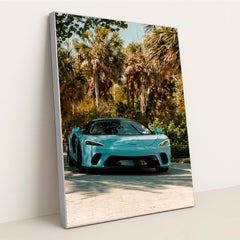 This photo shows a blue McLaren sports car parked in a sunny tropical garden with palm trees, in a silver frame.
