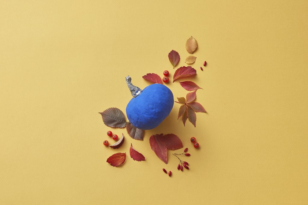 DS stories - Bright artistic composition of a blue pumpkin surrounded by red leaves on a yellow surface.