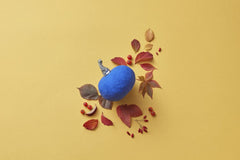 DS stories - Bright artistic composition of a blue pumpkin surrounded by red leaves on a yellow surface.