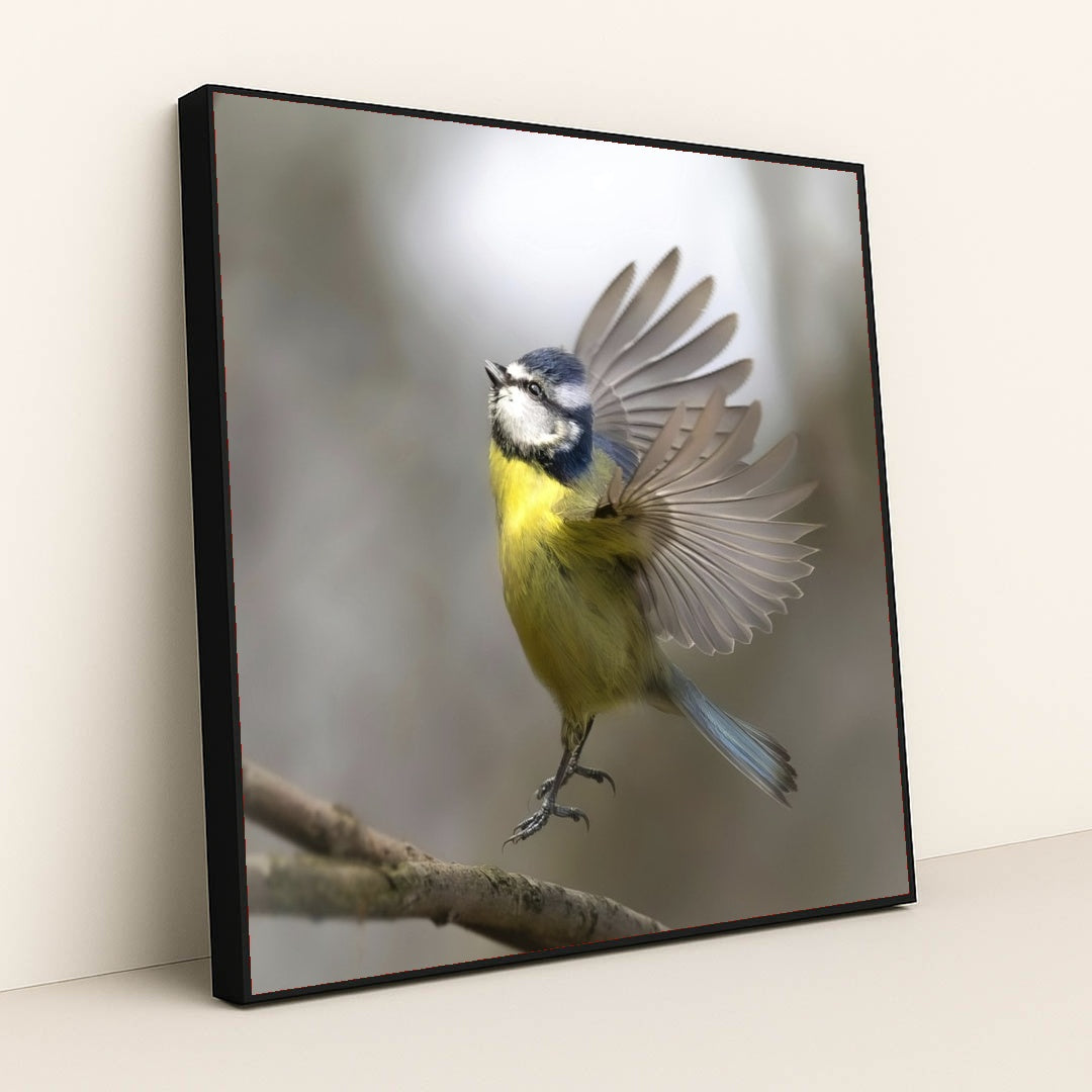 7090235965475 - Product Image