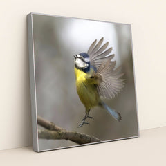 7090235965475 - Product Image