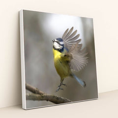 7090235965475 - Product Image