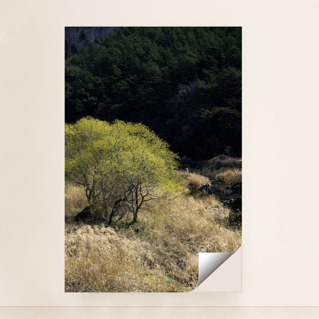 7090357338147 - Product Image