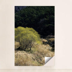 7090357338147 - Product Image