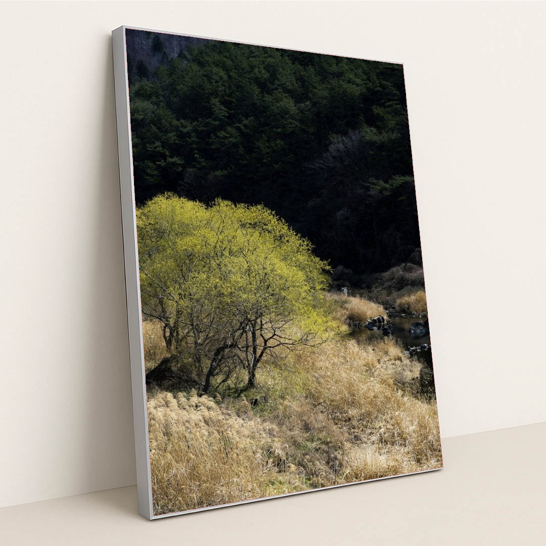 7090357338147 - Product Image